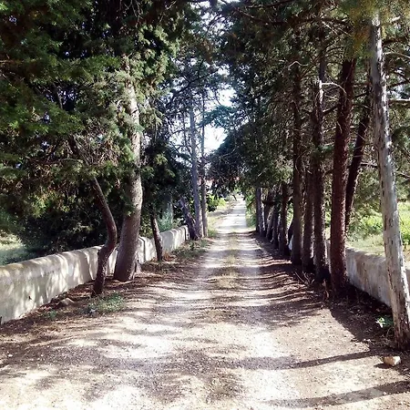Quinta Vale De Deus